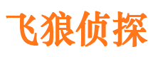 元坝外遇调查取证